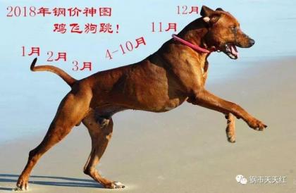 點擊查看原圖 微信圖片_20171211105947.jpg